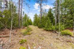 LOT 41 & 42 4 Concession Northern Bruce Peninsula