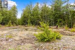 LOT 41 & 42 4 Concession Northern Bruce Peninsula