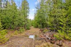 LOT 41 & 42 4 Concession Northern Bruce Peninsula