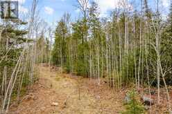 LOT 41 & 42 4 Concession Northern Bruce Peninsula