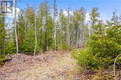 LOT 41 & 42 4 Concession Northern Bruce Peninsula