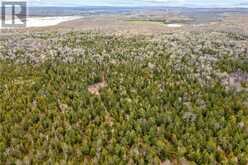 LOT 41 & 42 4 Concession Northern Bruce Peninsula