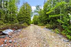 LOT 41 & 42 4 Concession Northern Bruce Peninsula