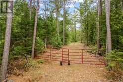 LOT 41 & 42 4 Concession Northern Bruce Peninsula