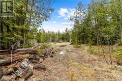 LOT 41 & 42 4 Concession Northern Bruce Peninsula