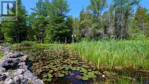 7 PURGATORY Road Northern Bruce Peninsula