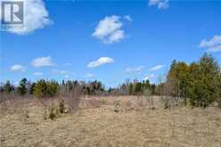 305765 180 SIDEROAD Grey Highlands