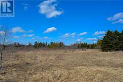 305765 180 SIDEROAD Grey Highlands