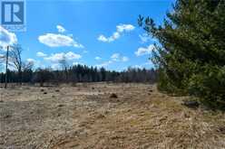 305765 180 SIDEROAD Grey Highlands