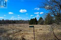 305765 180 SIDEROAD Grey Highlands