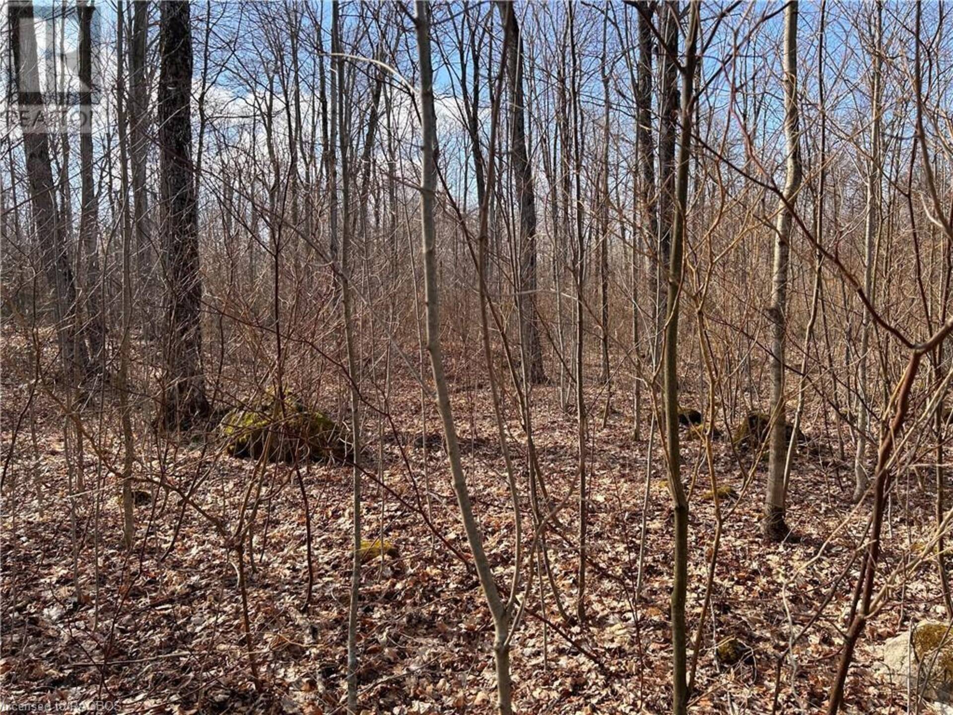 PT LT 24 BIG ROCK Road Georgian Bluffs