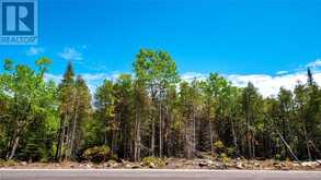 LOT 5 TRILLIUM Crossing Northern Bruce Peninsula