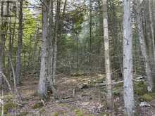 LOT 5 TRILLIUM Crossing Northern Bruce Peninsula