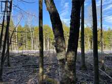 LOT 5 TRILLIUM Crossing Northern Bruce Peninsula