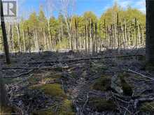 LOT 5 TRILLIUM Crossing Northern Bruce Peninsula