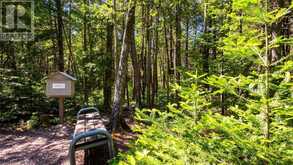 LOT 5 TRILLIUM Crossing Northern Bruce Peninsula