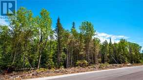 LOT 5 TRILLIUM Crossing Northern Bruce Peninsula