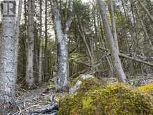 LOT 5 TRILLIUM Crossing Northern Bruce Peninsula