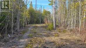 743 SPRY Road Northern Bruce Peninsula