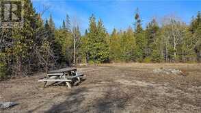 743 SPRY Road Northern Bruce Peninsula