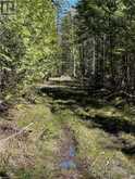 LOT 32 CON 3 HIGHWAY 6 South Bruce Peninsula