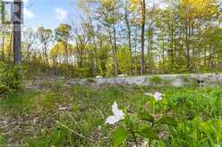 71 MAPLE Drive Northern Bruce Peninsula