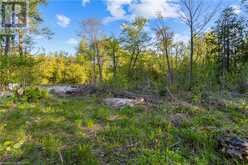 71 MAPLE Drive Northern Bruce Peninsula