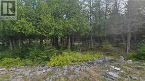 LT 254 PL 433 DORCAS BAY Road Northern Bruce Peninsula