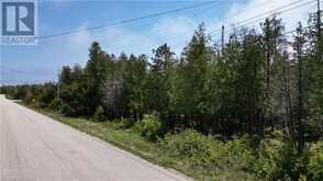 LT 254 PL 433 DORCAS BAY Road Northern Bruce Peninsula