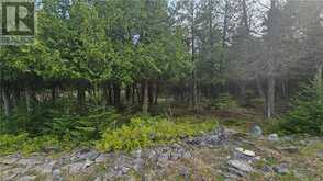 LT 254 PL 433 DORCAS BAY Road Northern Bruce Peninsula