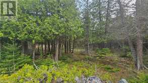 LT 254 PL 433 DORCAS BAY Road Northern Bruce Peninsula