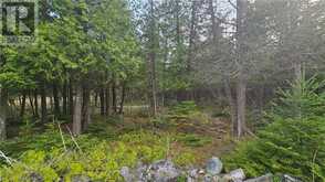 LT 254 PL 433 DORCAS BAY Road Northern Bruce Peninsula