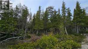 LT 255 PL 433 PEDWELL PT Drive Northern Bruce Peninsula