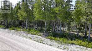 LT 255 PL 433 PEDWELL PT Drive Northern Bruce Peninsula