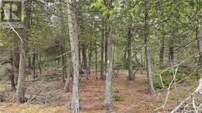 LT 255 PL 433 PEDWELL PT Drive Northern Bruce Peninsula