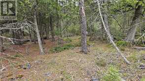 LT 255 PL 433 PEDWELL PT Drive Northern Bruce Peninsula