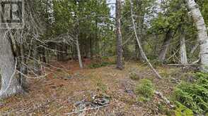 LT 255 PL 433 PEDWELL PT Drive Northern Bruce Peninsula