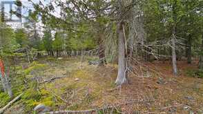 LT 255 PL 433 PEDWELL PT Drive Northern Bruce Peninsula