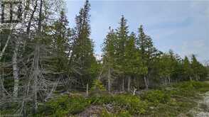 LT 255 PL 433 PEDWELL PT Drive Northern Bruce Peninsula