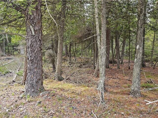 LT 255 PL 433 PEDWELL PT Drive Northern Bruce Peninsula Ontario