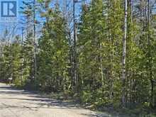 LOT 2 SPRY Road Northern Bruce Peninsula