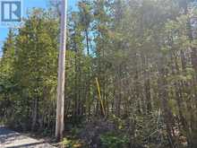 LOT 2 SPRY Road Northern Bruce Peninsula