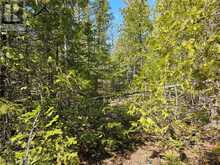 LOT 2 SPRY Road Northern Bruce Peninsula