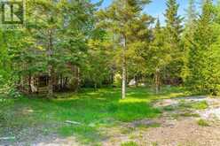 55 FORBES Road Northern Bruce Peninsula