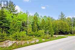 6726 HIGHWAY 6 Northern Bruce Peninsula