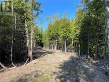 LOT 13 EAST Road Northern Bruce Peninsula