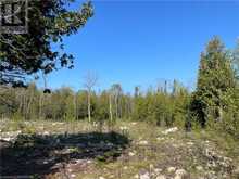 LOT 13 EAST Road Northern Bruce Peninsula