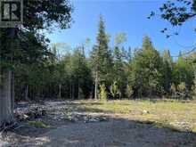 LOT 13 EAST Road Northern Bruce Peninsula