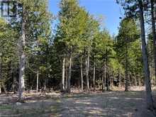 LOT 13 EAST Road Northern Bruce Peninsula