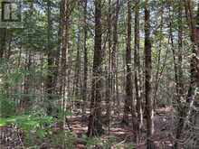 LOT 13 EAST Road Northern Bruce Peninsula